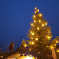 Weihnachtsbaum am Weihnachtsmarkt Erlangen